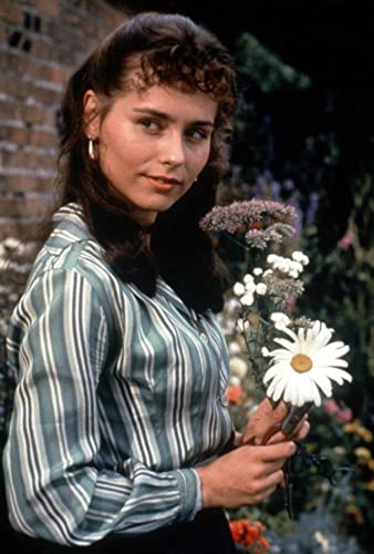 ウェールズの山の画像