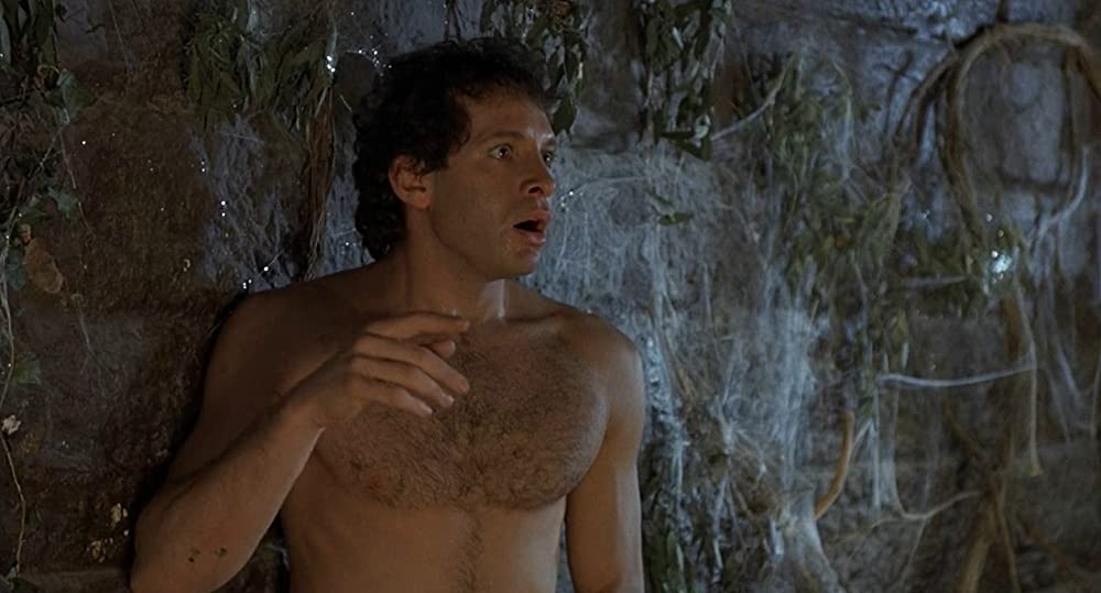 「プランケット城への招待状」スティーブ・グッテンバーグの画像