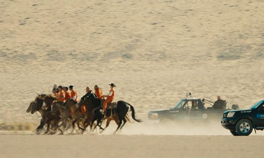 ムスタングの画像