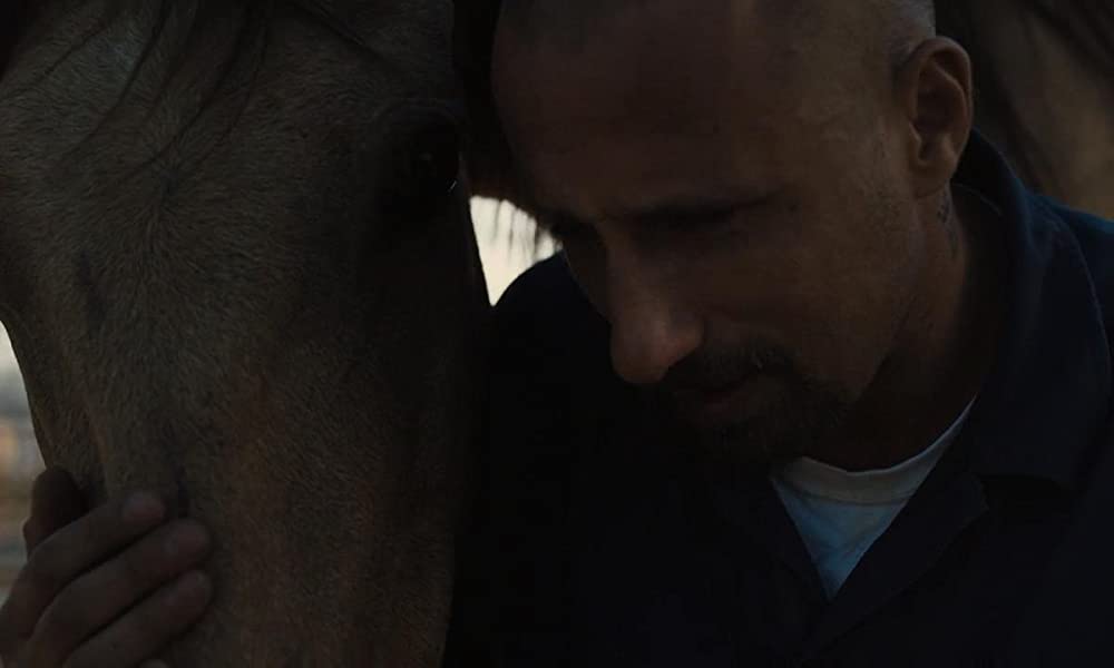 ムスタングの画像