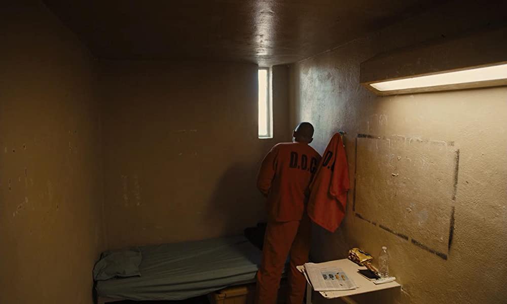 ムスタングの画像