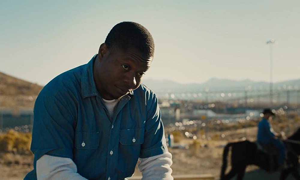 ムスタングの画像