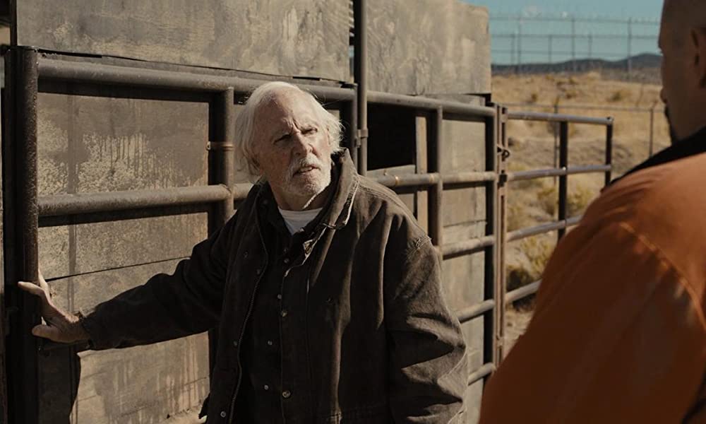 ムスタングの画像