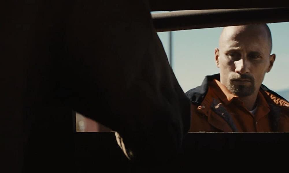 ムスタングの画像