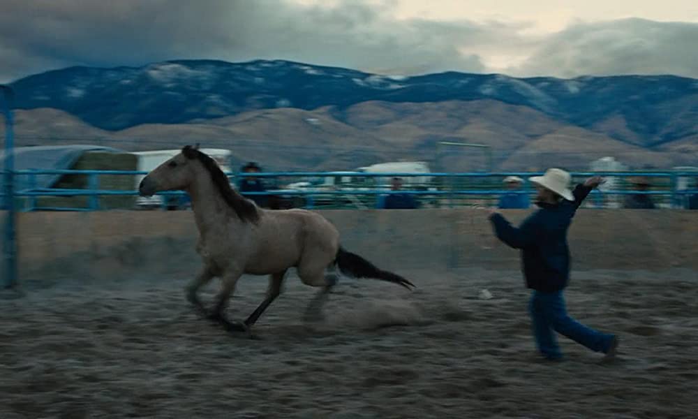 ムスタングの画像