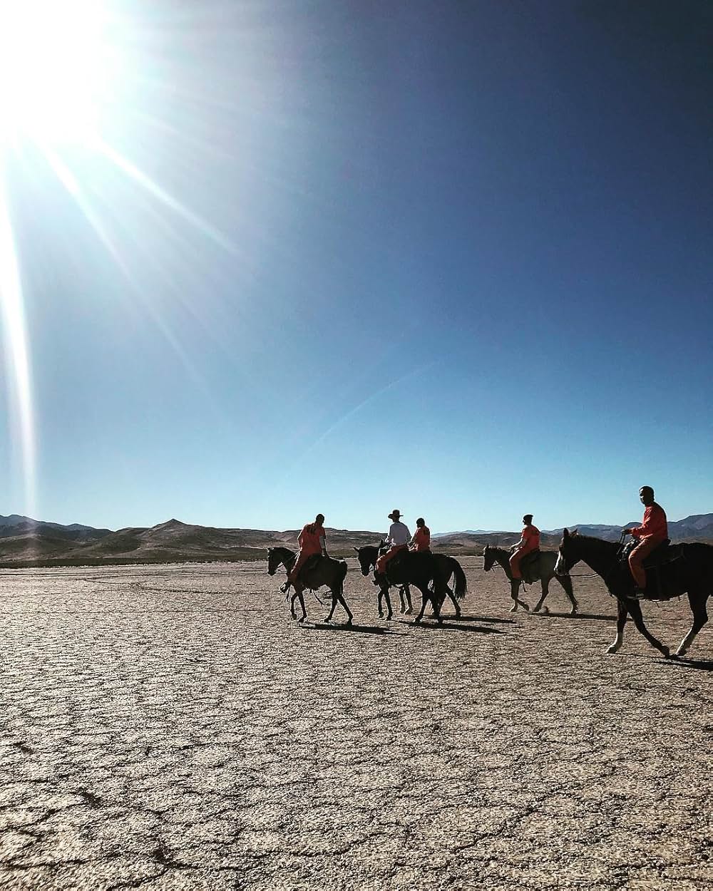 ムスタングの画像