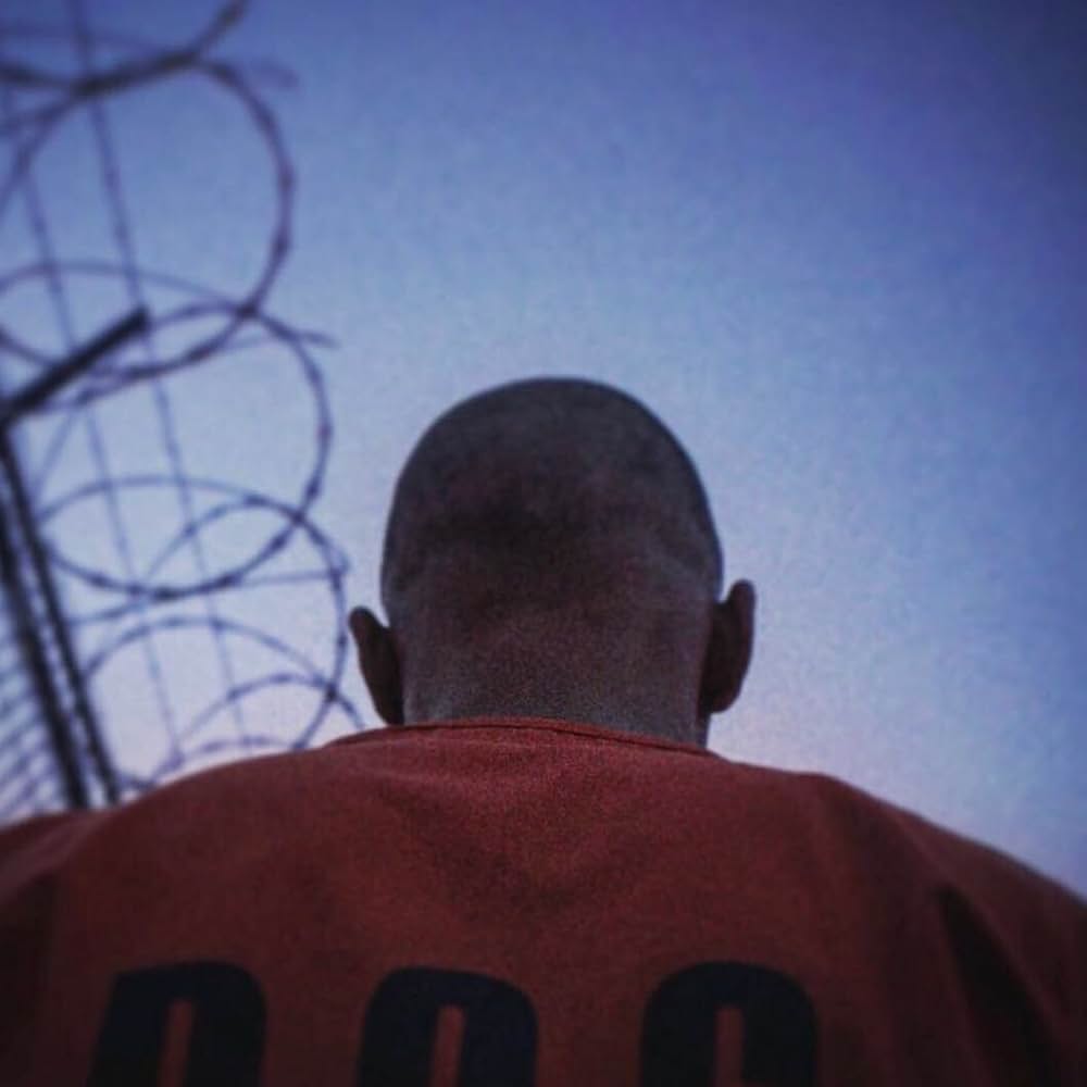 ムスタングの画像