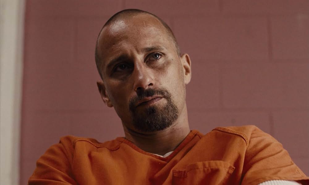 ムスタングの画像