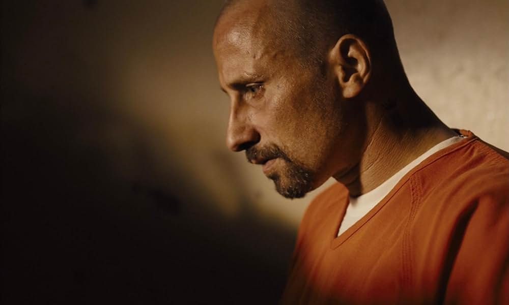 ムスタングの画像