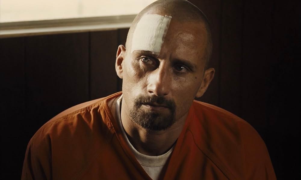 ムスタングの画像