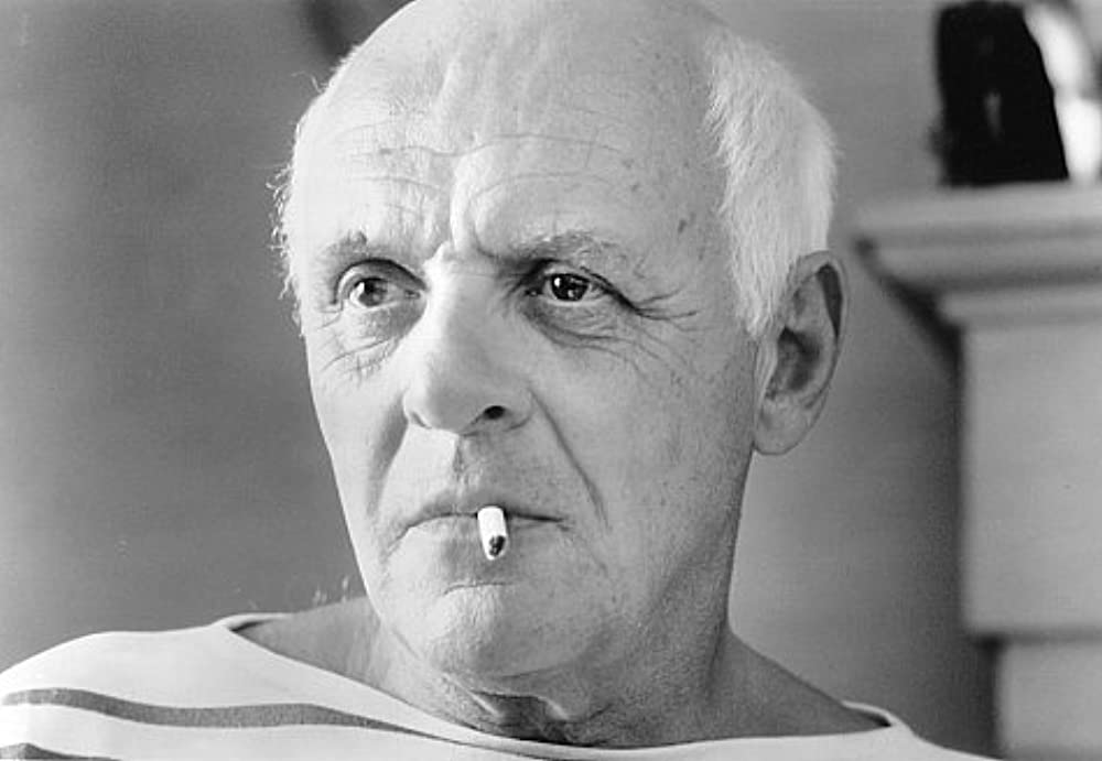 サバイビング・ピカソの画像