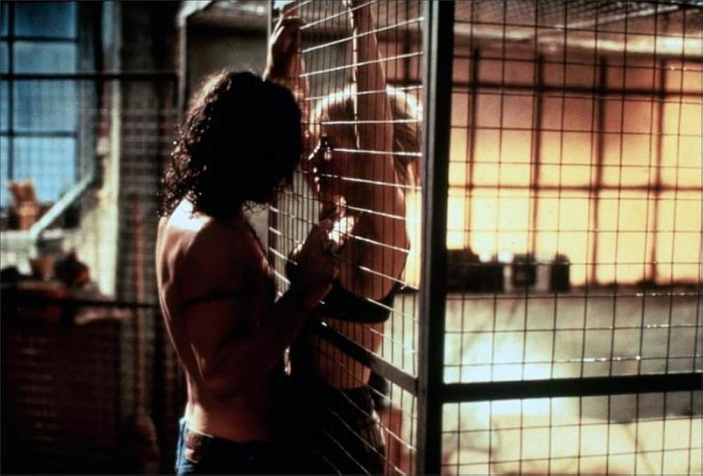 ストレンジャーの画像