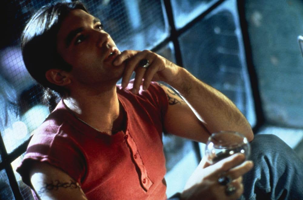 ストレンジャーの画像