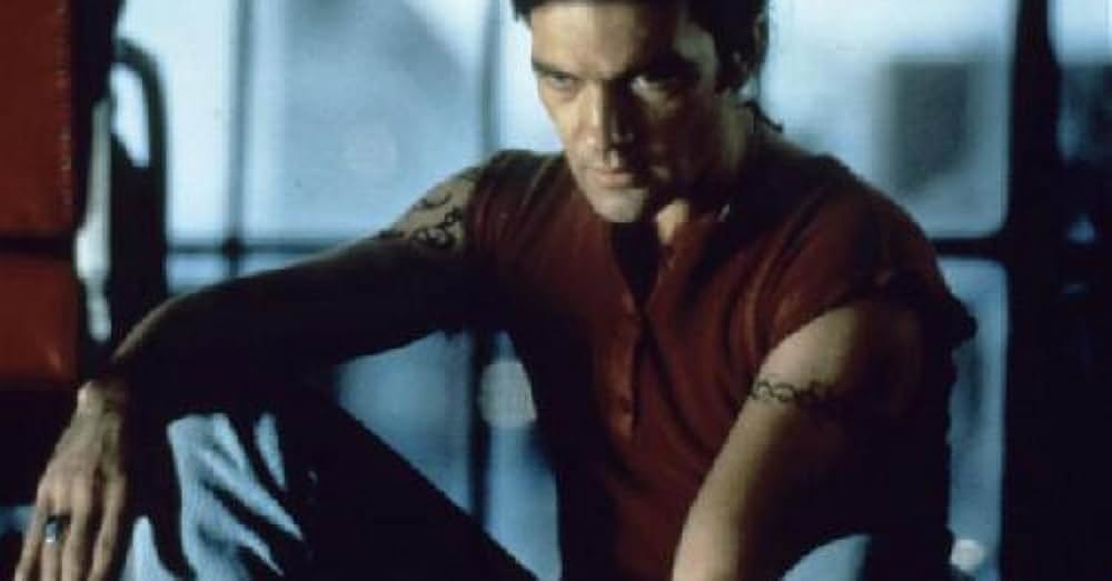 ストレンジャーの画像