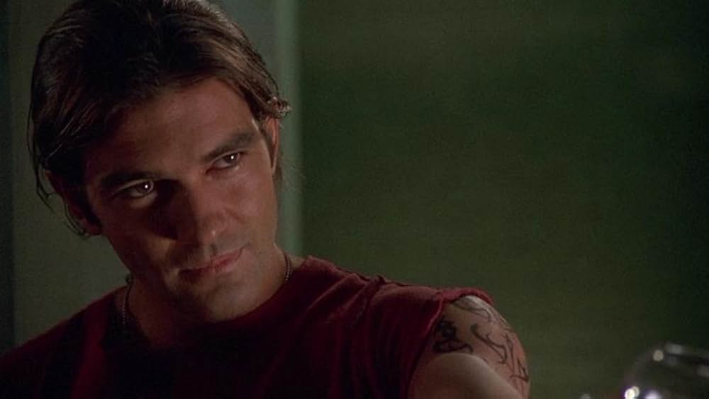 ストレンジャーの画像