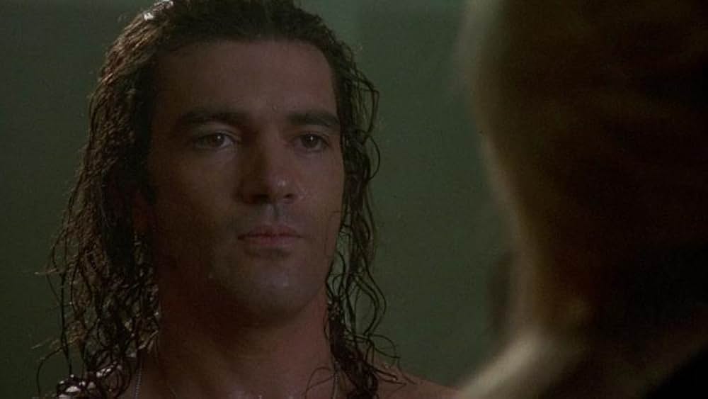 ストレンジャーの画像