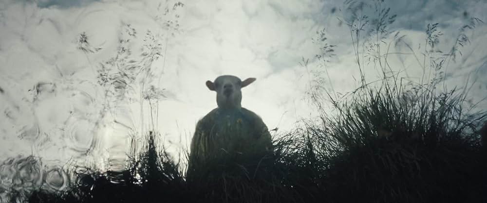 LAMB／ラムの画像