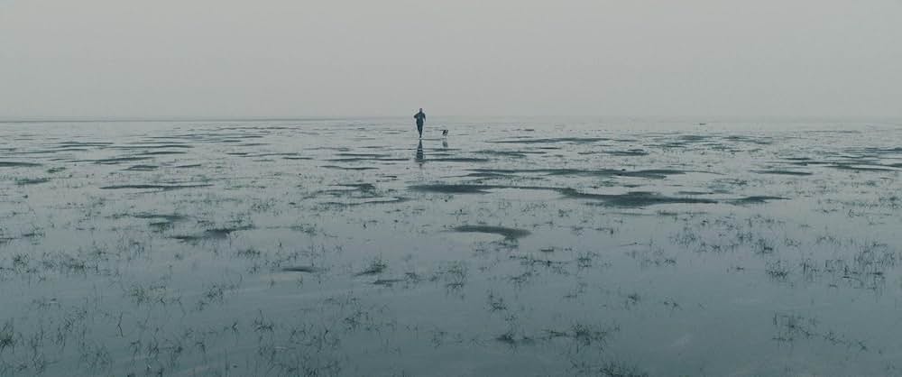 LAMB／ラムの画像