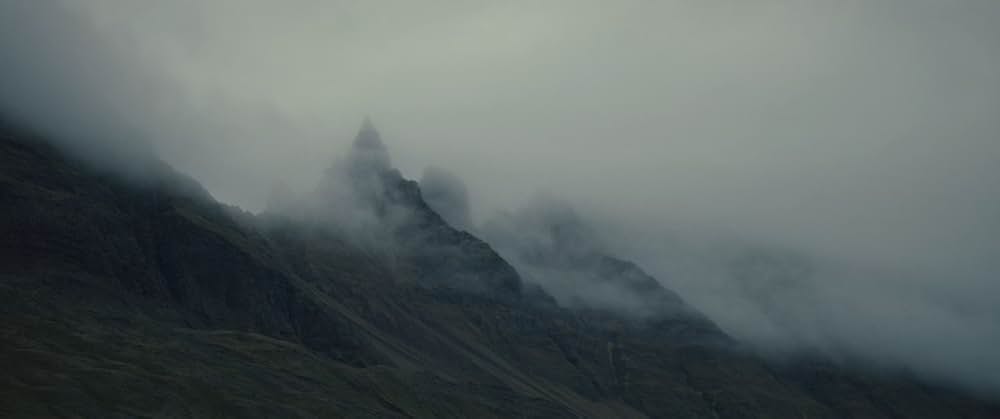 LAMB／ラムの画像