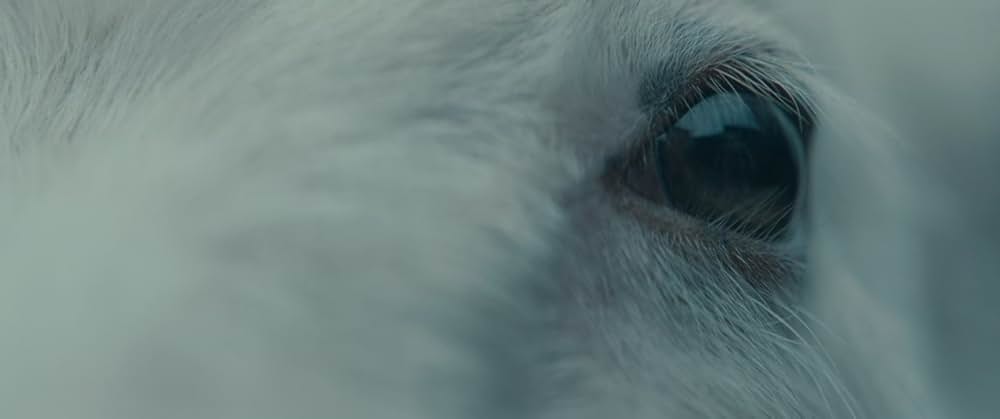 LAMB／ラムの画像