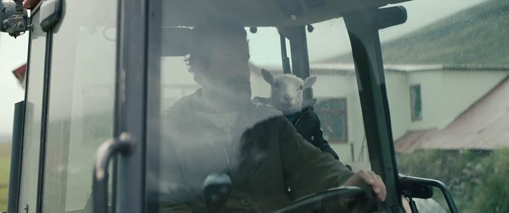 LAMB／ラムの画像