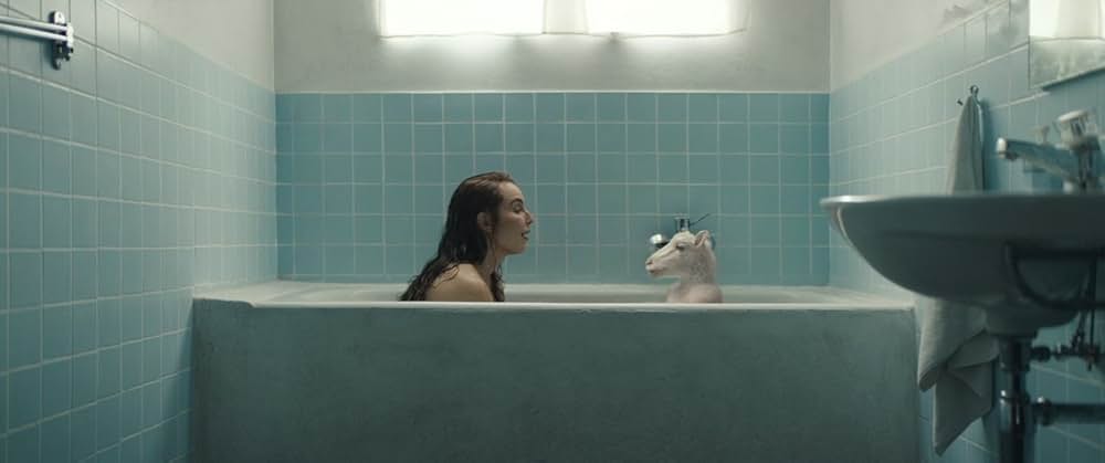 LAMB／ラムの画像