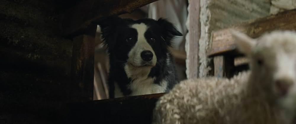 LAMB／ラムの画像