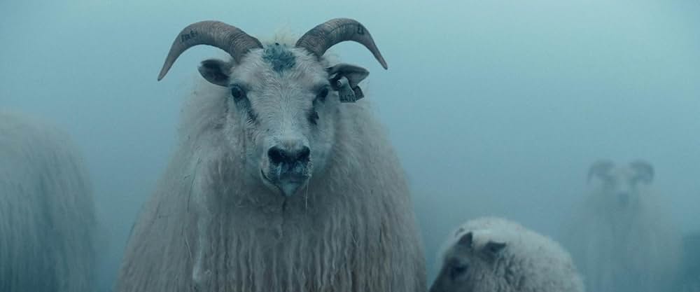 LAMB／ラムの画像