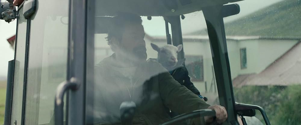 LAMB／ラムの画像