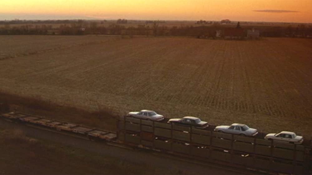 カーリー・スーの画像