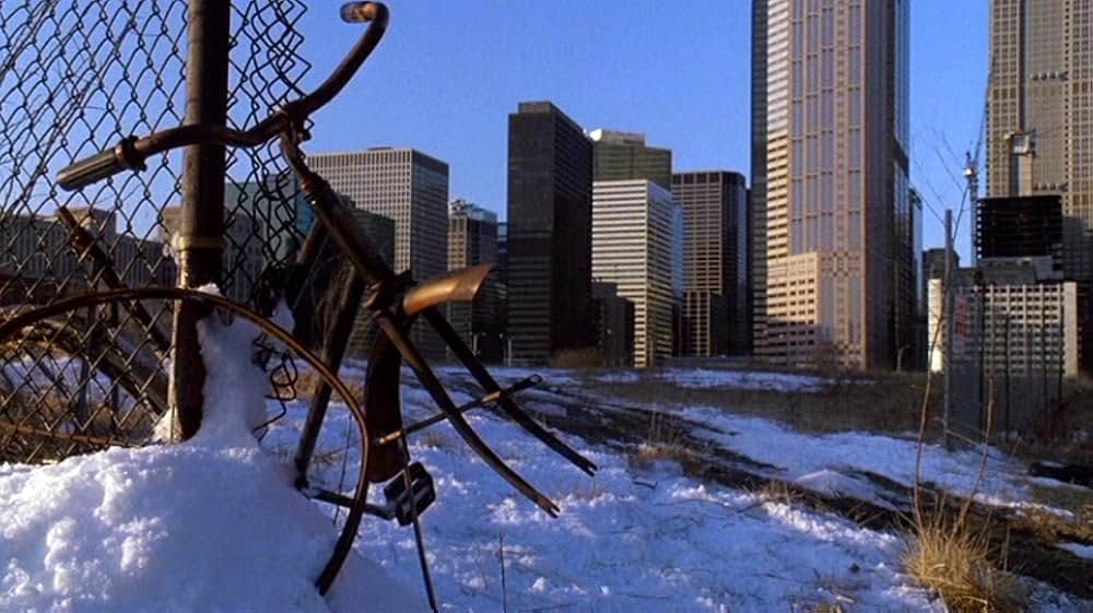 カーリー・スーの画像