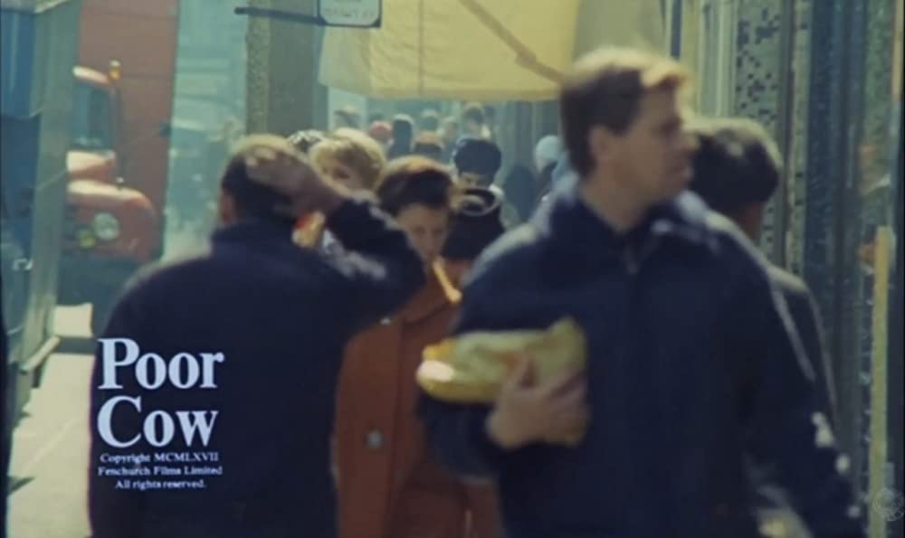 夜空に星のあるようにの画像