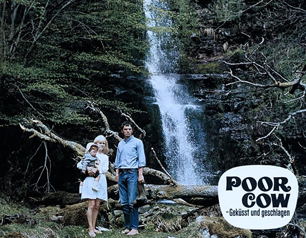 「夜空に星のあるように」テレンス・スタンプ & キャロル・ホワイトの画像