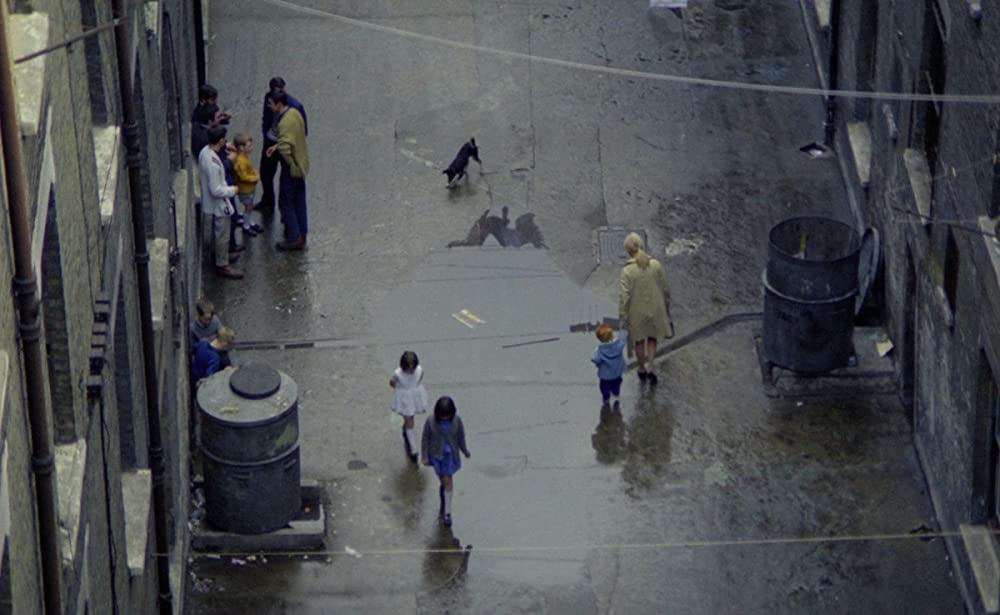 夜空に星のあるようにの画像