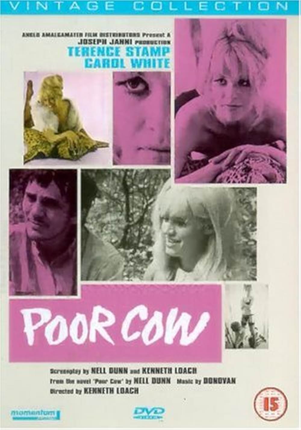 夜空に星のあるようにの画像