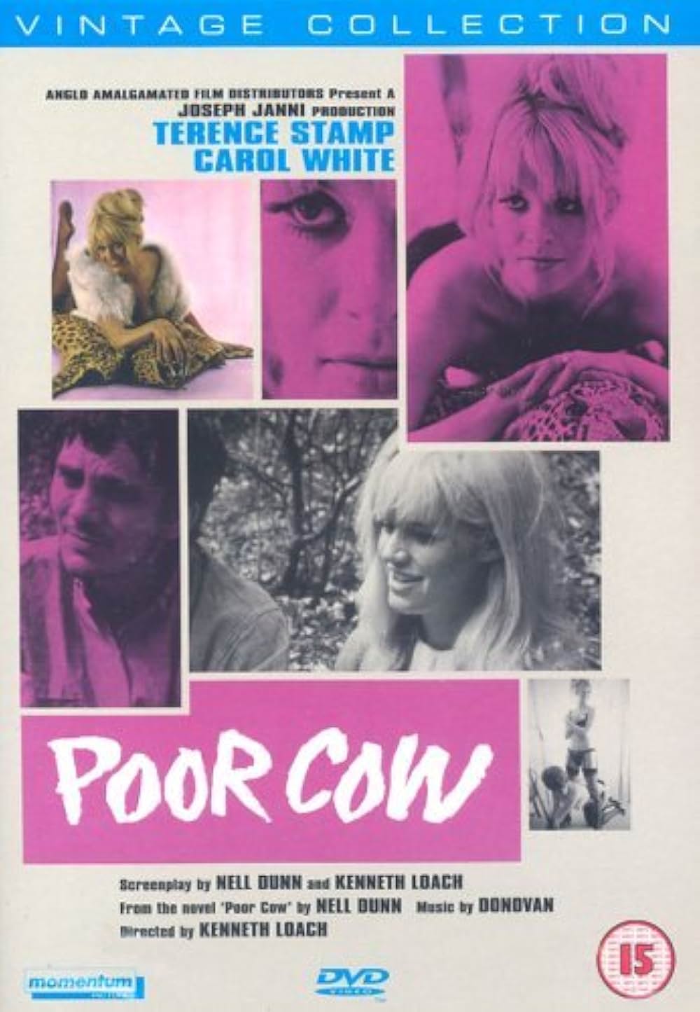 夜空に星のあるようにの画像