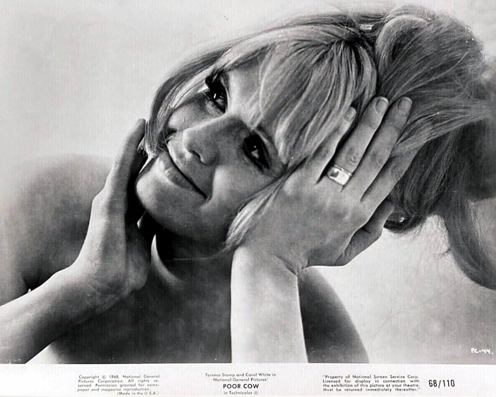 夜空に星のあるようにの画像