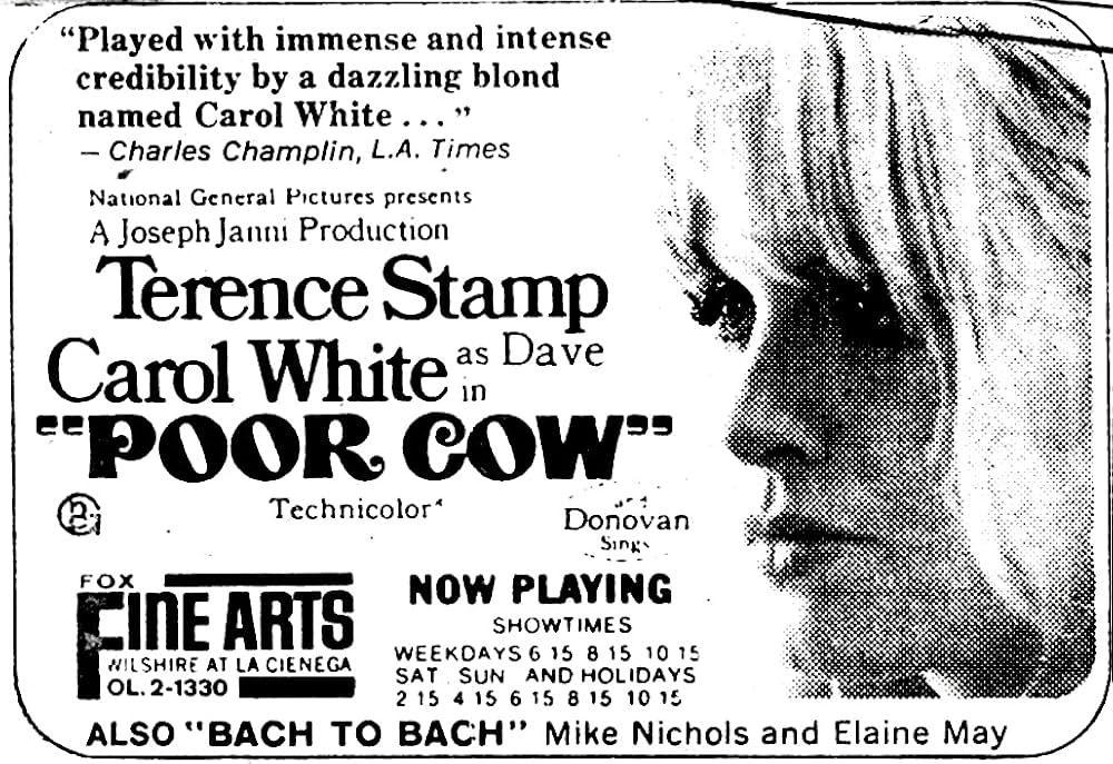 夜空に星のあるようにの画像