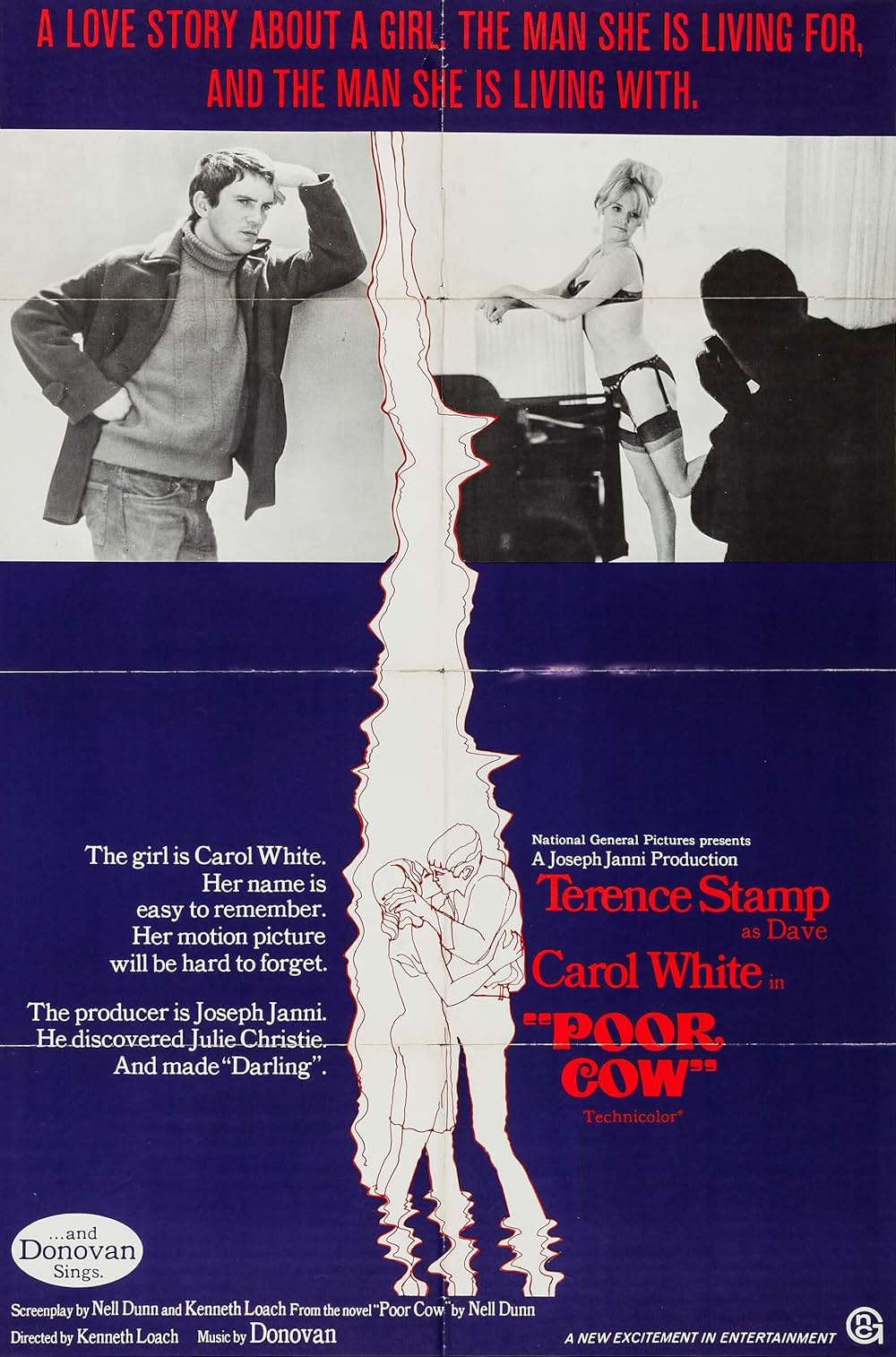 夜空に星のあるようにの画像