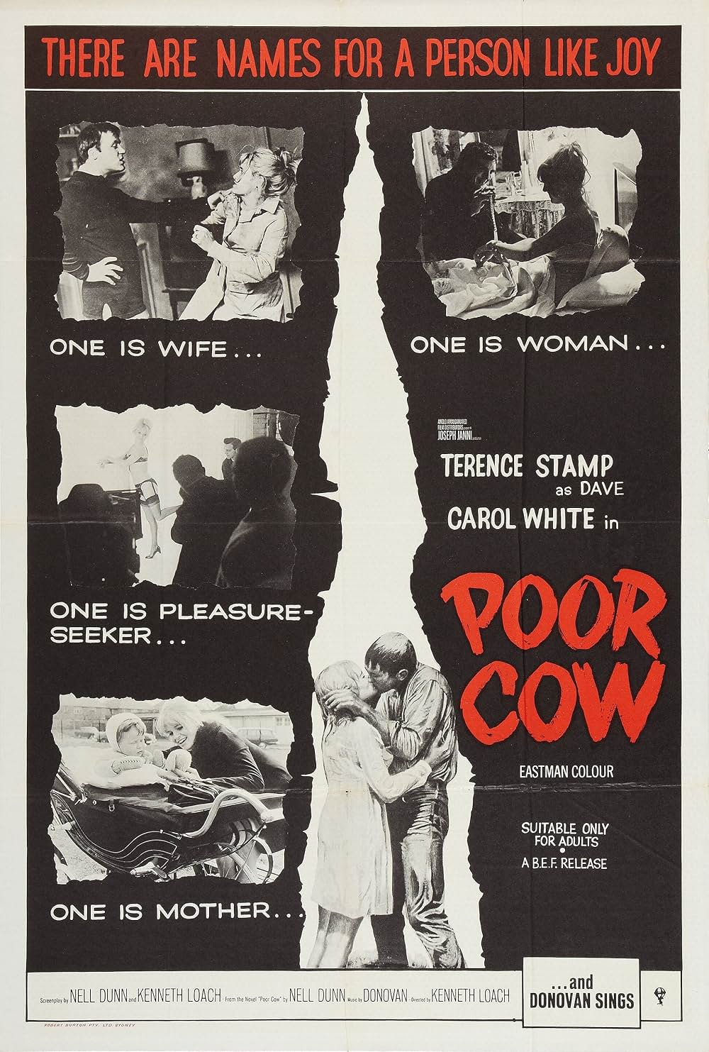 夜空に星のあるようにの画像