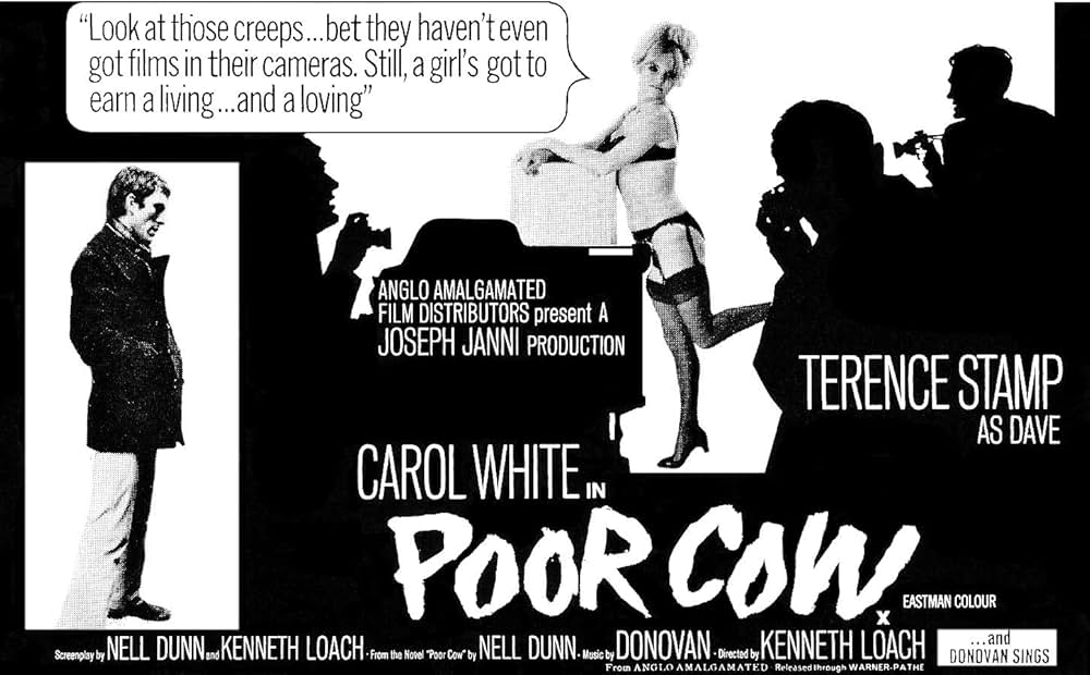 夜空に星のあるようにの画像