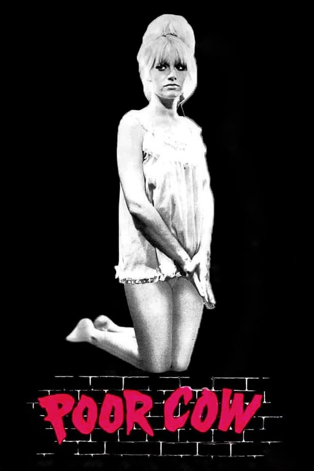 夜空に星のあるようにの画像