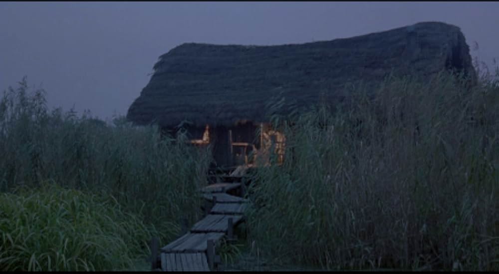 上海ルージュの画像