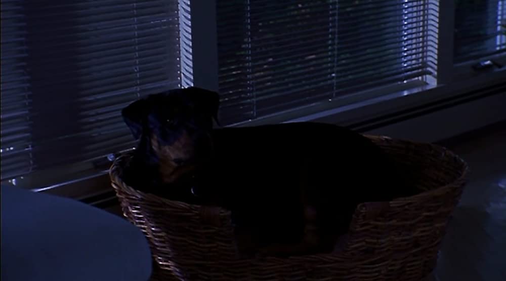 デッド・レインの画像