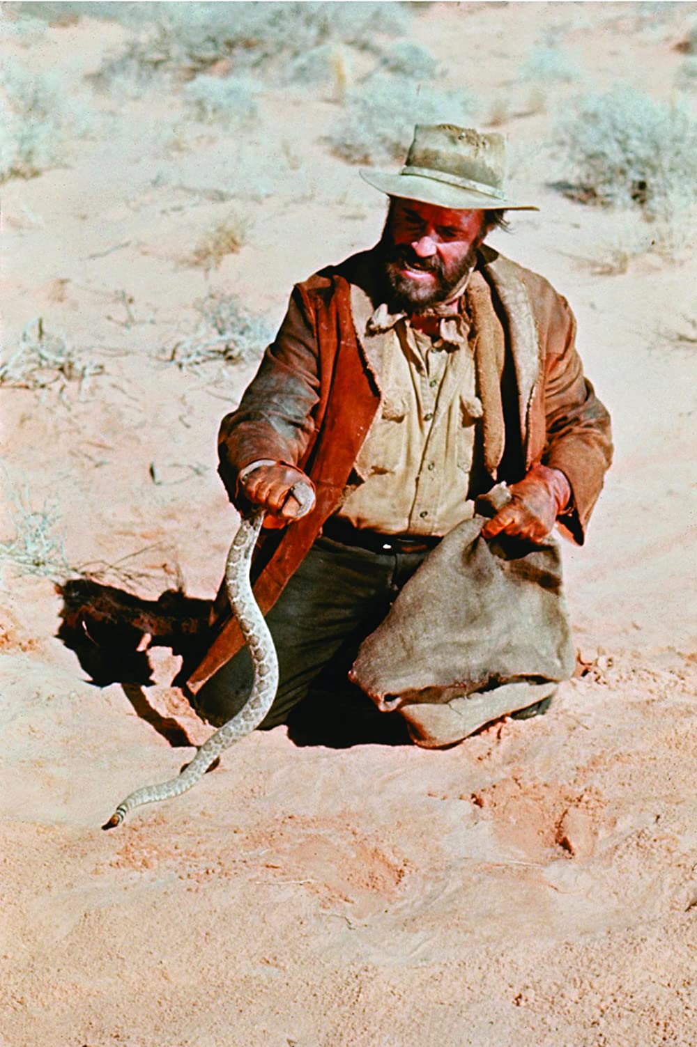 「砂漠の流れ者」ジェイソン・ロバーズの画像