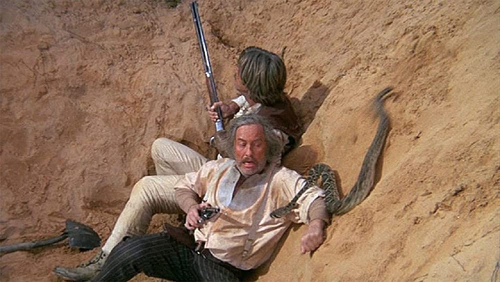 砂漠の流れ者の画像