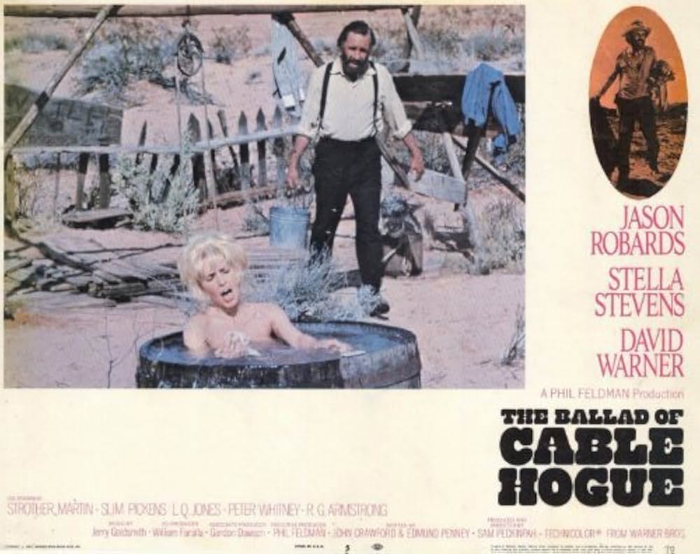 砂漠の流れ者の画像