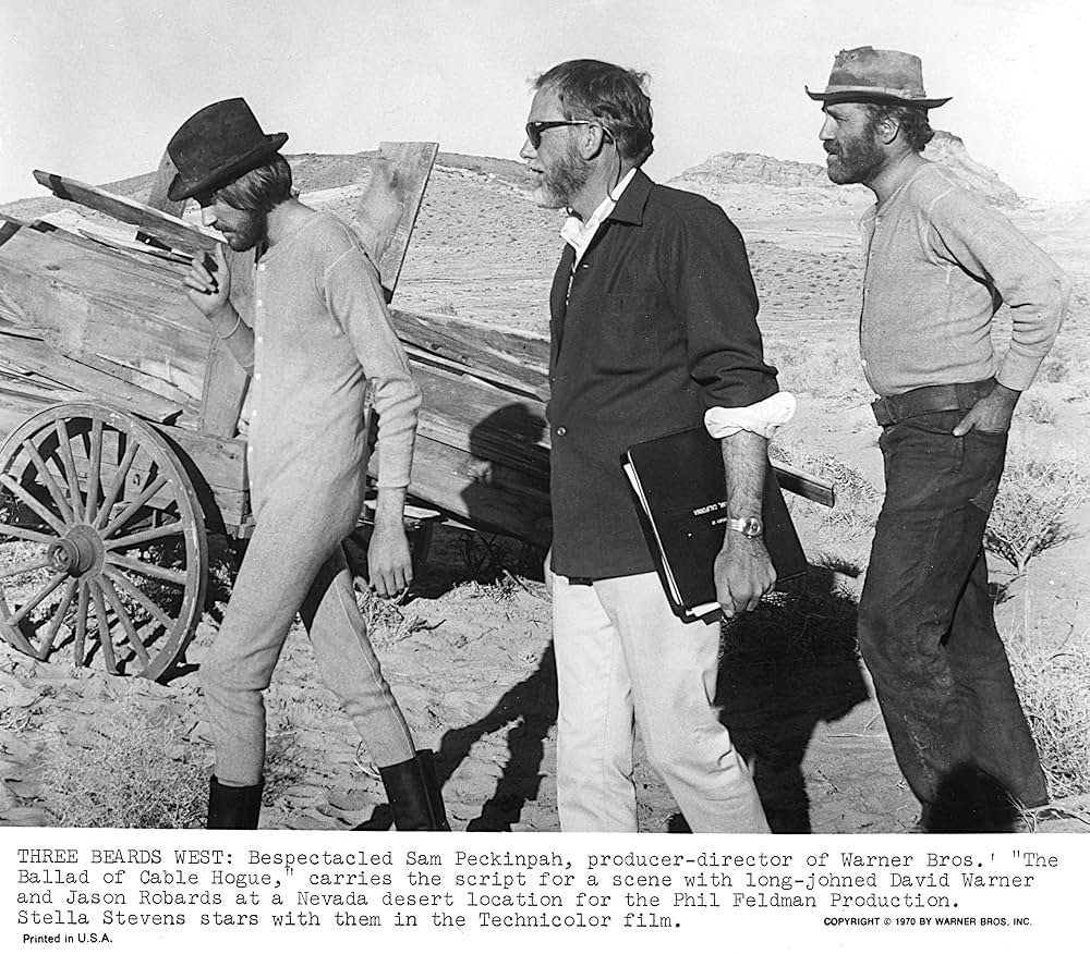 砂漠の流れ者の画像