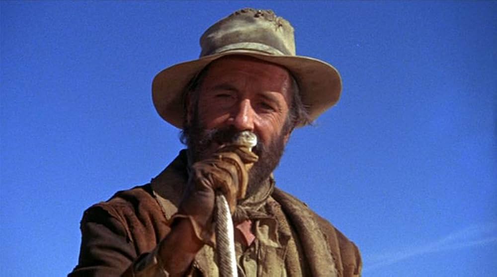 砂漠の流れ者の画像