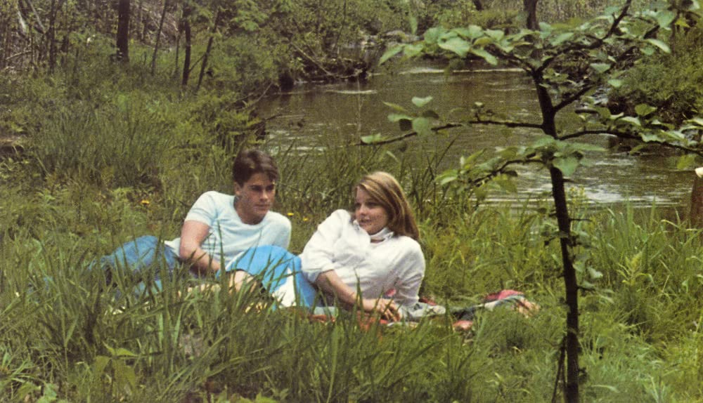 ホテル・ニューハンプシャーの画像